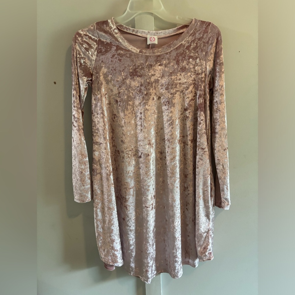 Pink Velvet Long Sleeve Dress